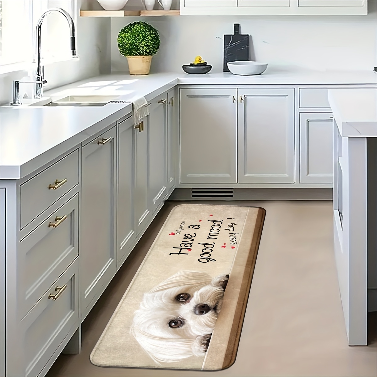Schattige witte puppy lange ke - Commercial Kitchen Quotes recensie en prijs